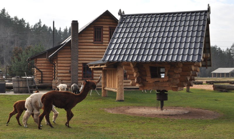 Rakši - vieta, kas pārsteidz, iepriecina un dāvā lielisku noskaņojumu