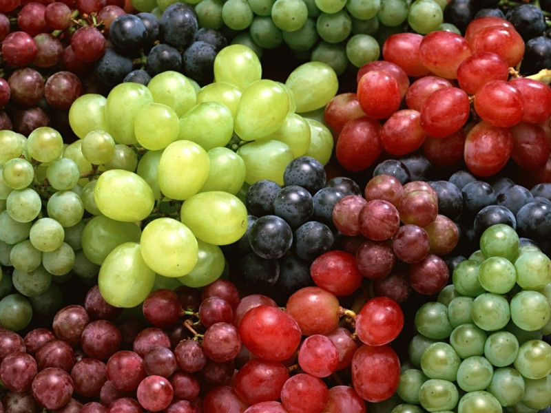 Vīnogu šķirnes, to kopšana, stādīšana, apgriešana