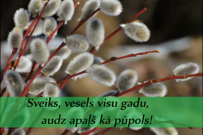 Pūpolsvētdienas uzmundrinošais dienas horoskops visām zodiaka zīmēm