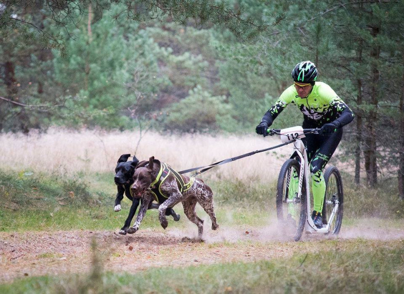 Baltijas un Pasaules kausā kamanu suņu sportā Ādažos vairāk nekā 180 dalībnieku