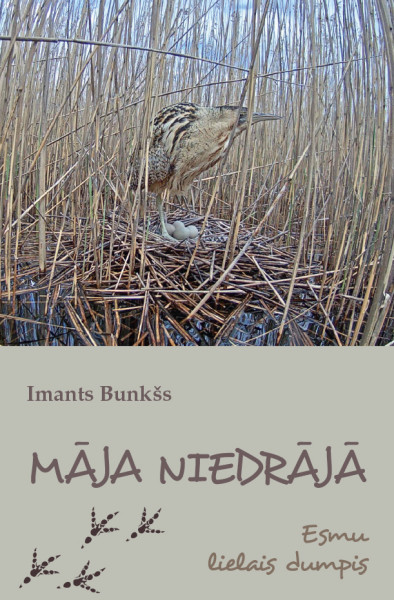 Klajā nākusi otrā grāmata bērniem par putnu vērošanu “Māja niedrājā”