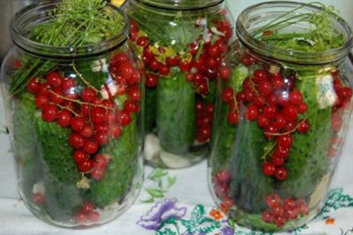 Rudens laika konservējumi. 8 garšīgas receptes. 2.daļa
