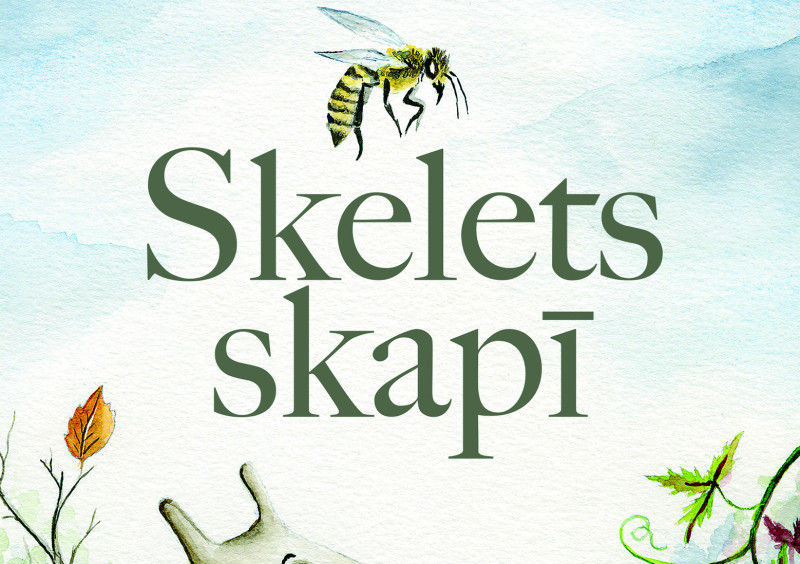 Izdevniecībā "Dienas Grāmata" izdots Lilijas Berzinskas "Skelets skapī"