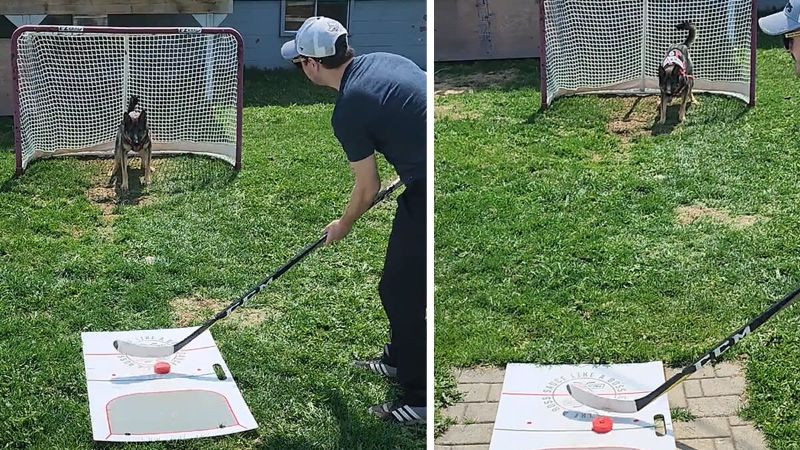 Video: Sunīte Megija - vārtsardze ar NHL potenciālu